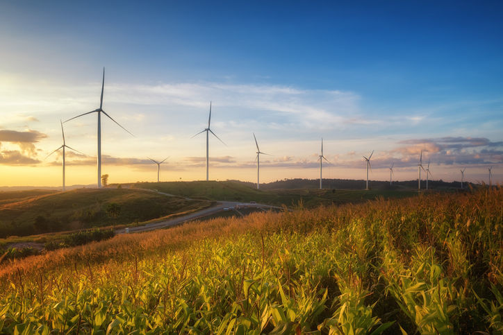 Wind farm windmills